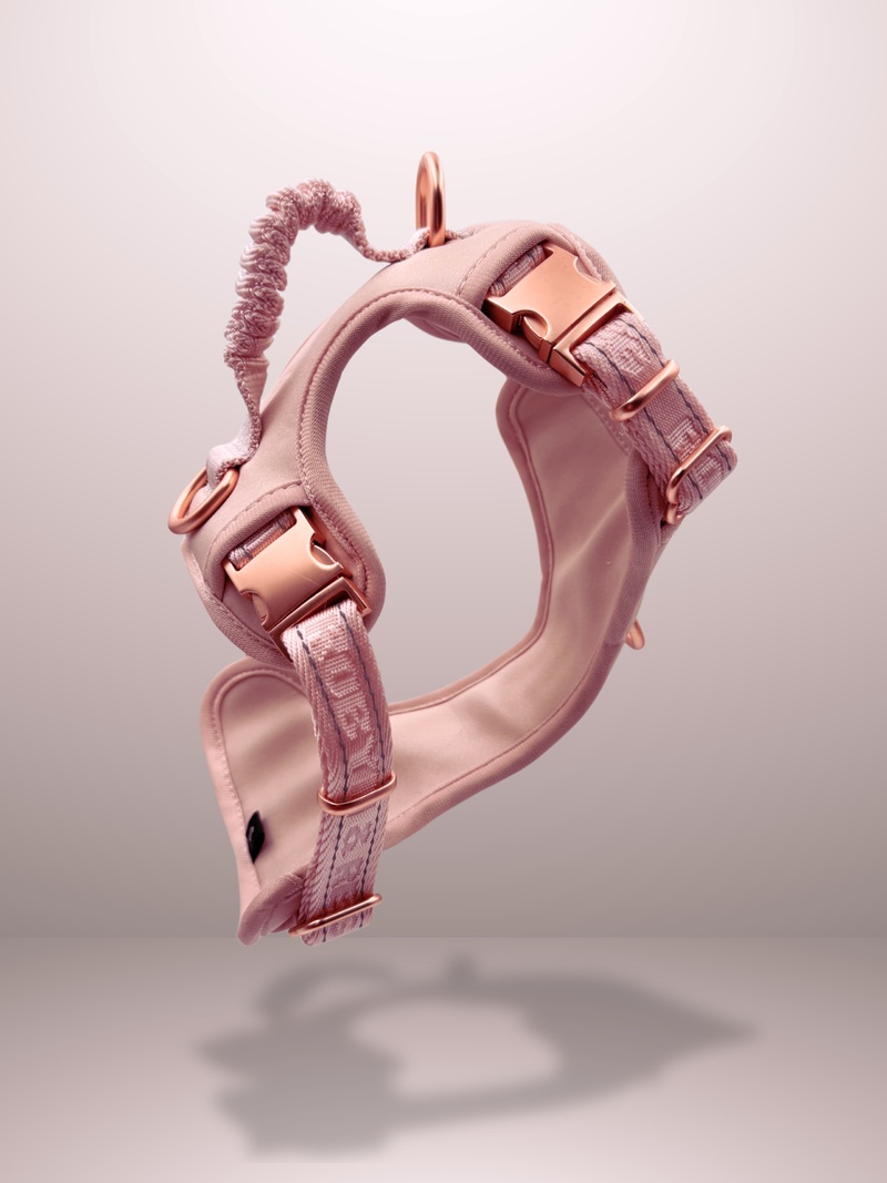 Harnesses