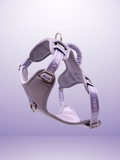Adjustable Dog Harness - Lilac