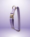 Adjustable Dog Collar - Lilac