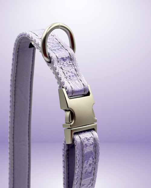 Adjustable Dog Collar - Lilac