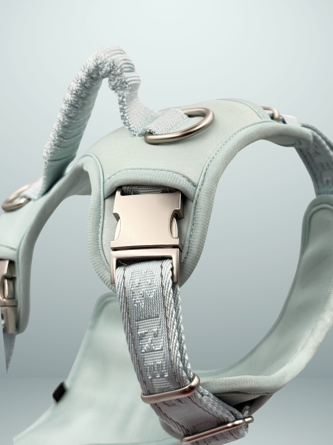Adjustable Dog Harness - Mint