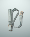 3ft-5ft Adjustable Dog Lead - Mint