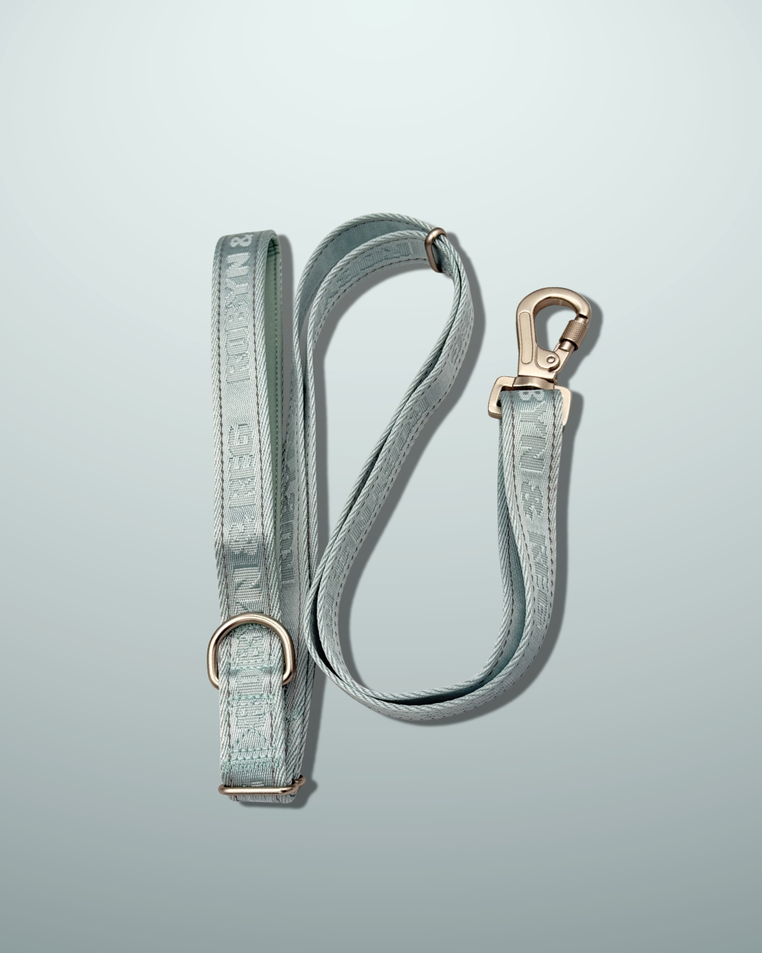 3ft-5ft Adjustable Dog Lead - Mint