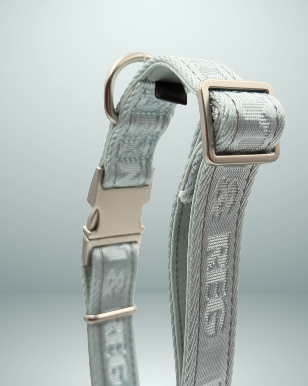 Adjustable Dog Collar - Mint