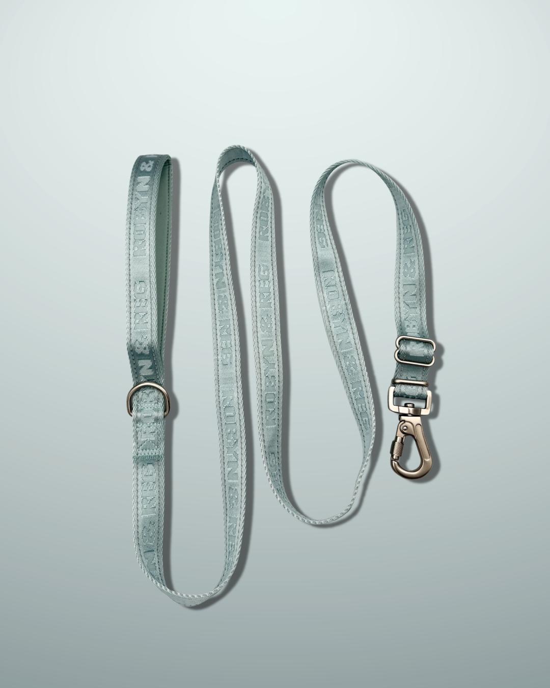 3ft-5ft Adjustable Dog Lead - Mint