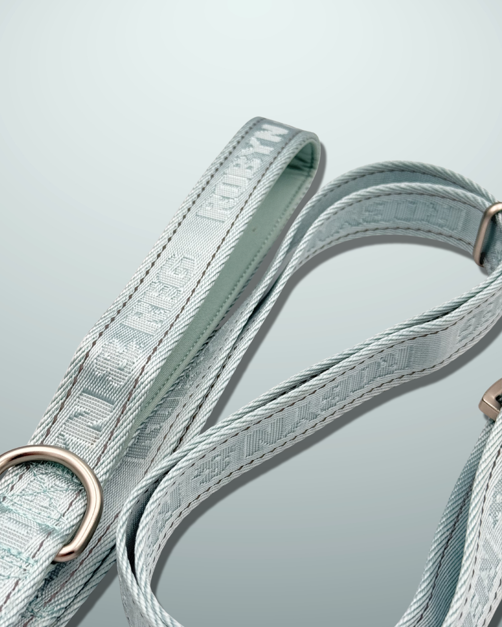 3ft-5ft Adjustable Dog Lead - Mint