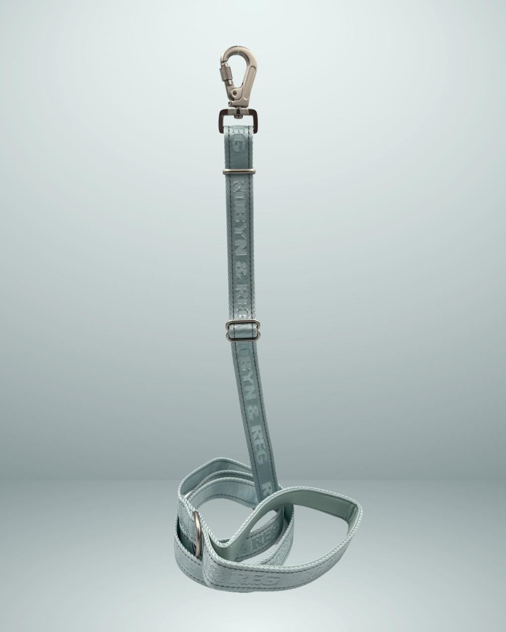 3ft-5ft Adjustable Dog Lead - Mint