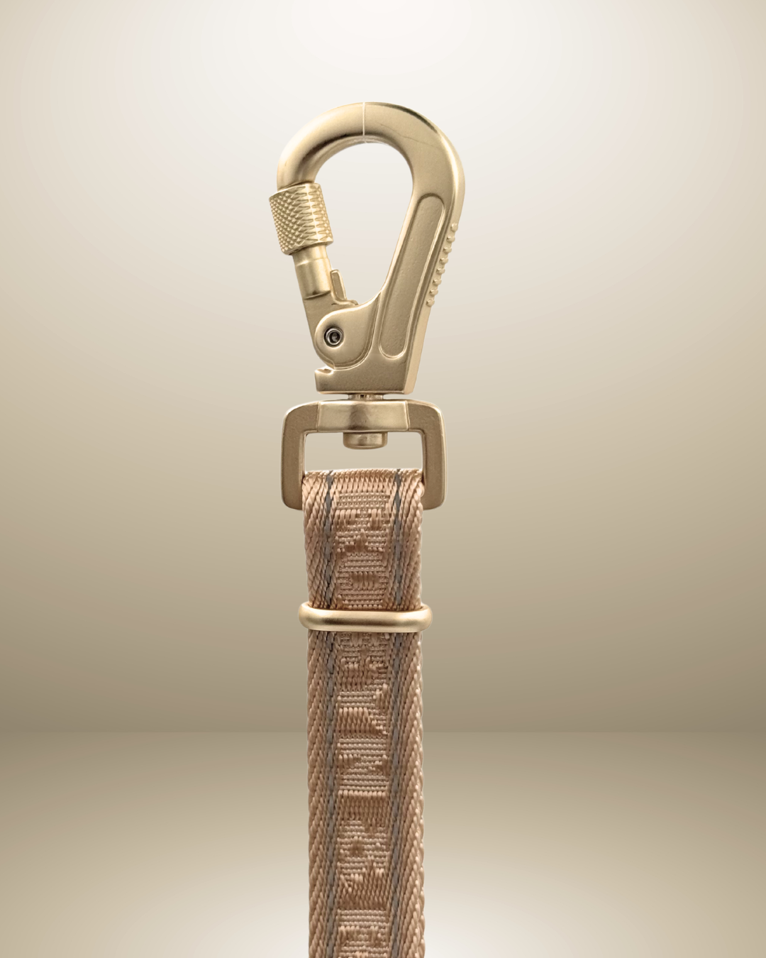3ft-5ft Adjustable Dog Lead - Pebble Beige