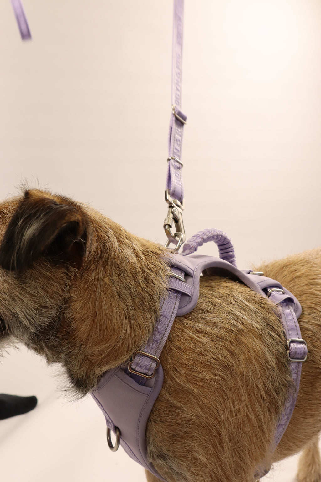3ft-5ft Adjustable Dog Lead - Lilac