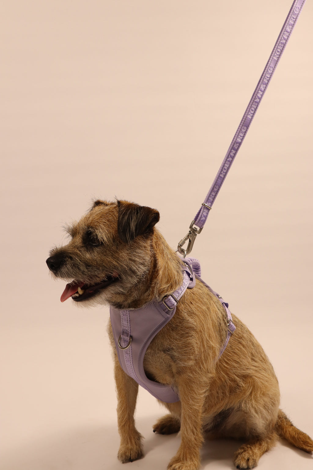 Adjustable Dog Harness - Lilac