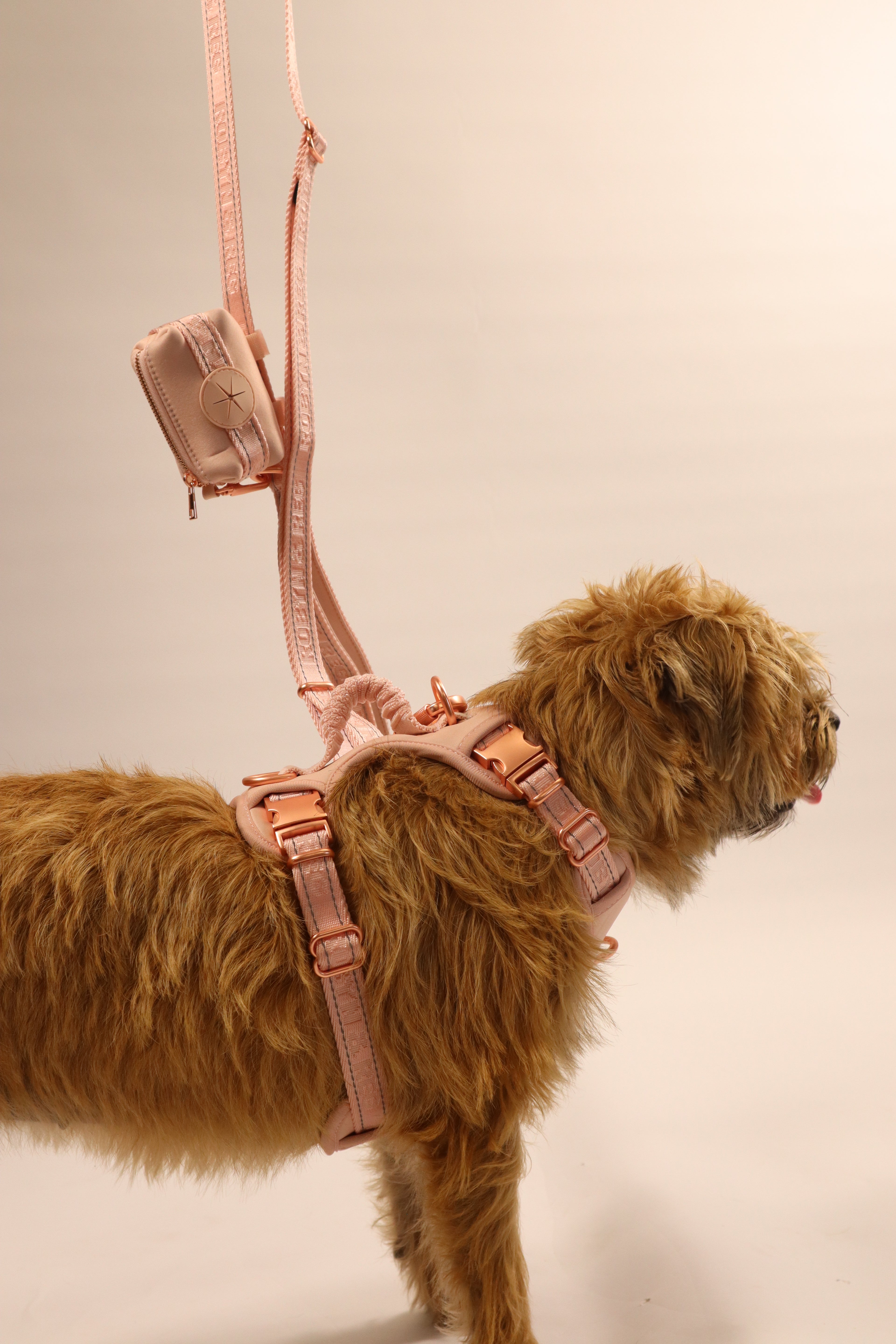 3ft-5ft Adjustable Dog Lead - Rose Pink