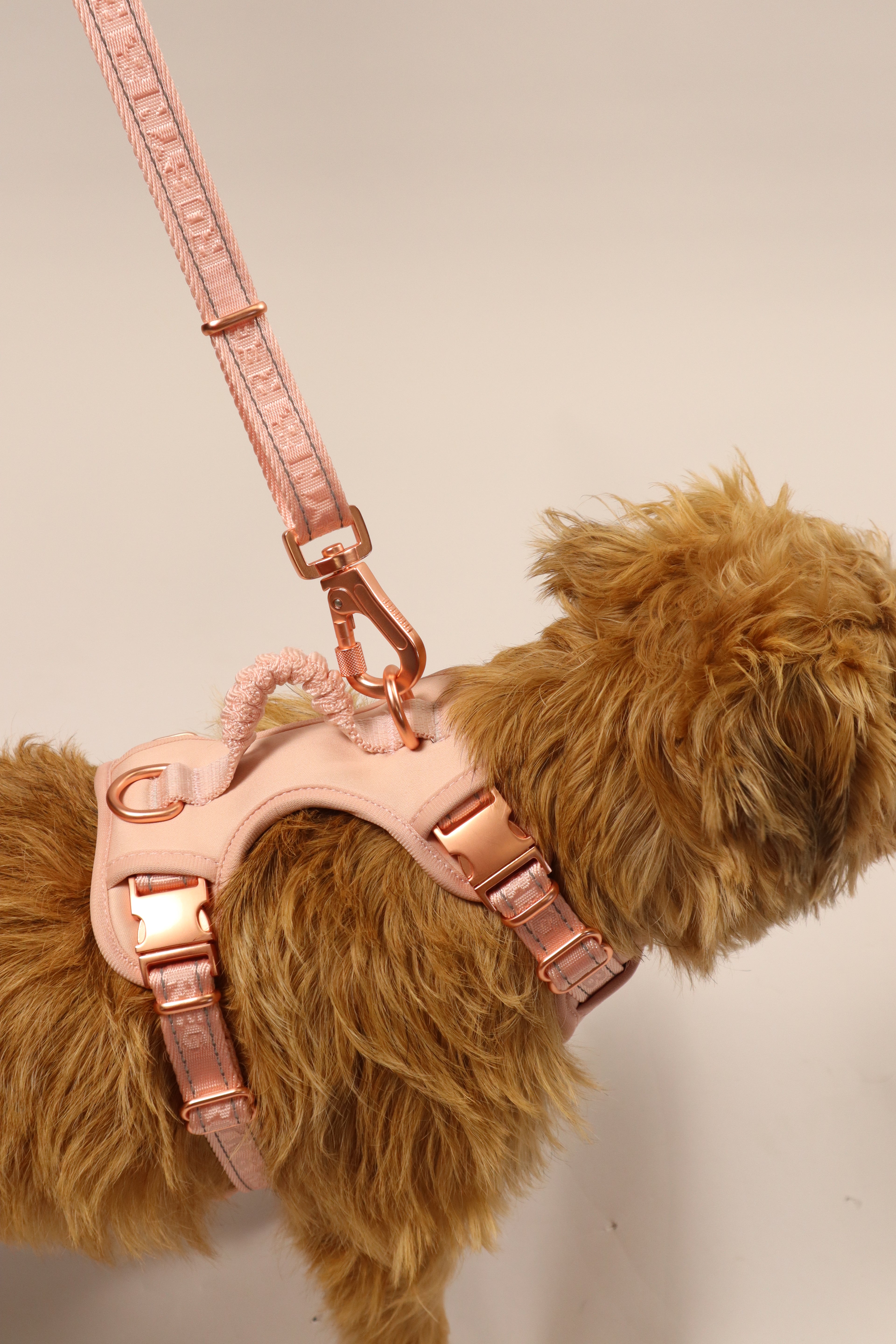 3ft-5ft Adjustable Dog Lead - Rose Pink
