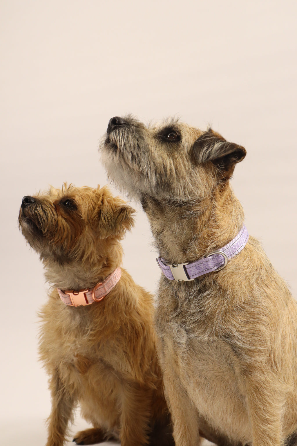 Adjustable Dog Collar - Rose Pink