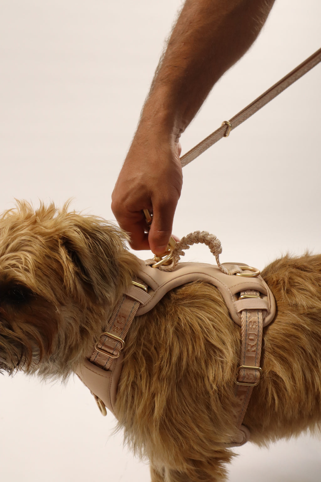 Adjustable Dog Harness - Pebble Beige
