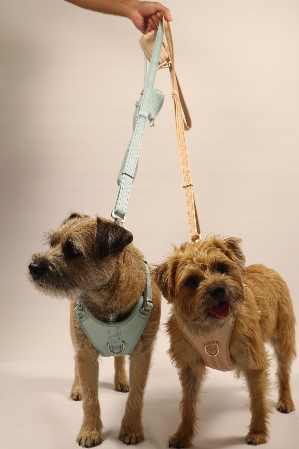 3ft-5ft Adjustable Dog Lead - Pebble Beige