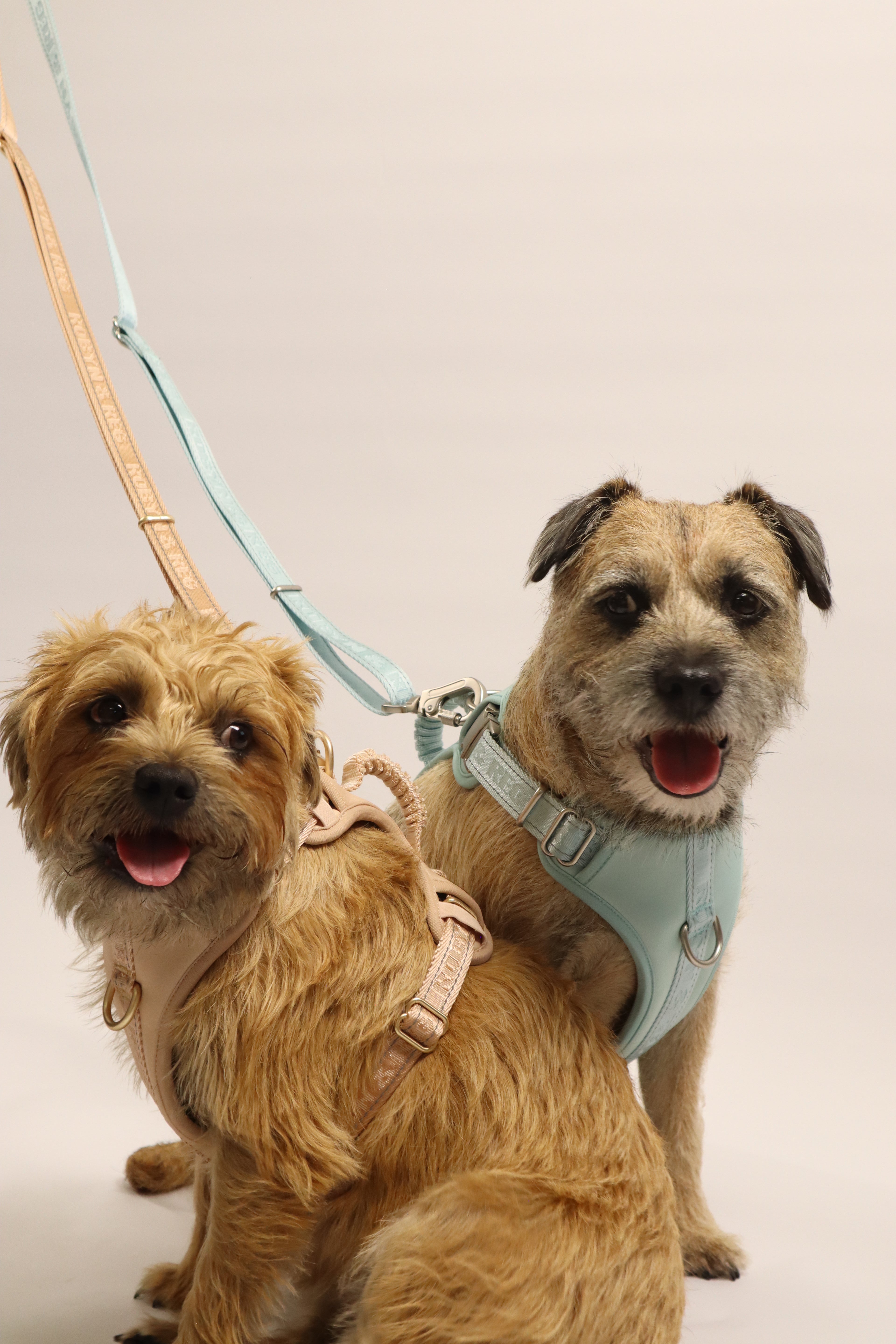 3ft-5ft Adjustable Dog Lead - Pebble Beige